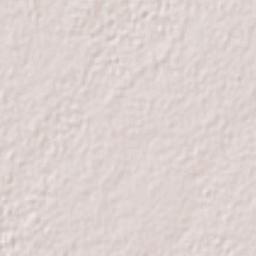 Caimanero Terrain Map