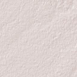 Estación Capomas Terrain Map