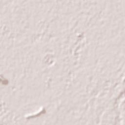 Gómez Palacio Terrain Map