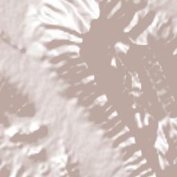 Valle Alto Terrain Map