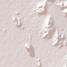 León Guzmán Terrain Map