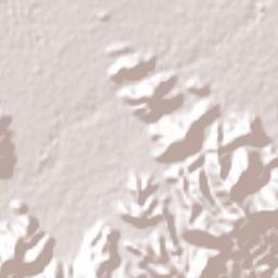 Villa de Guadalupe Terrain Map