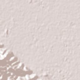 Torreón Terrain Map