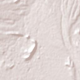 Ramos Arizpe Terrain Map