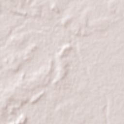 Pueblo Nuevo Terrain Map