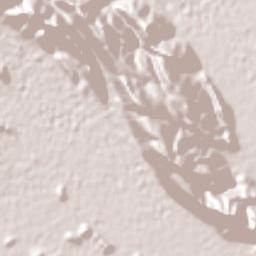 Francisco Villa, Nazareno, Durango, Mexico Terrain Map