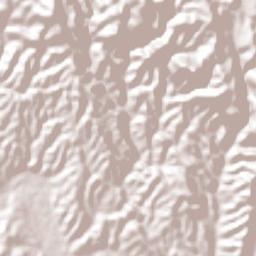 Santa Catarina de Tepehuanes Terrain Map