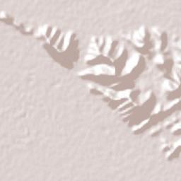 Las Mieleras Terrain Map