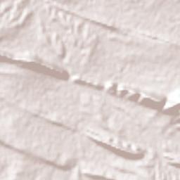 General Cepeda Terrain Map
