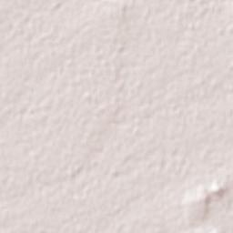 Gustavo Díaz Ordaz Terrain Map