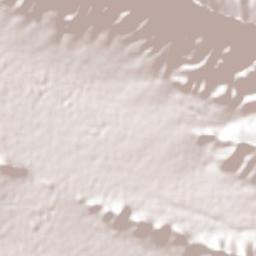 San Antonio de las Alazanas Terrain Map