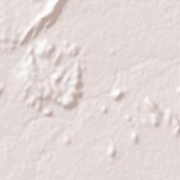 Bharatpura Terrain Map