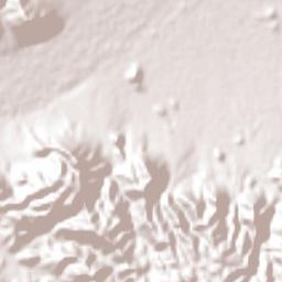Nazas Terrain Map