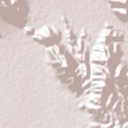 San José de Zaragoza Terrain Map