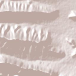 Huachichil Terrain Map