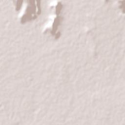 Colonia Agrícola México (Palmitas) Terrain Map
