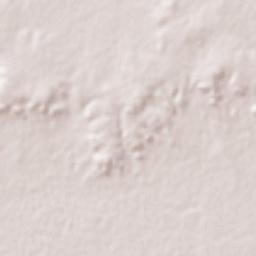 Francisco I. Madero Terrain Map