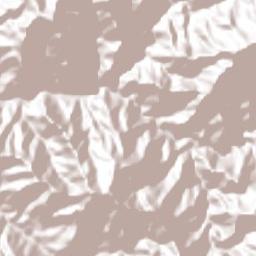 Tamazula Terrain Map