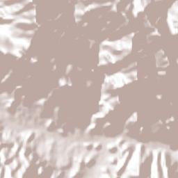 Rayones Terrain Map