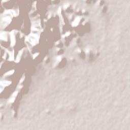 Juan Aldama (El Tigre) Terrain Map