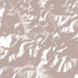 La Lagunita Terrain Map