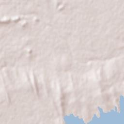 El Carmen de los Elizondo Terrain Map