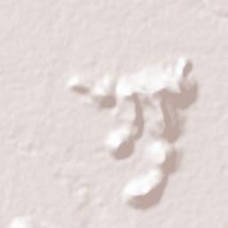 Barokhar Terrain Map