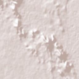 La Palmita y Anexos (La Presita) Terrain Map