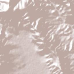 El Cedral Terrain Map