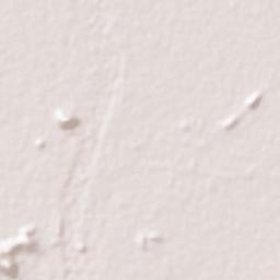 Gaya Terrain Map