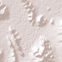 San José de Raíces Terrain Map