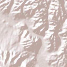 San Carlos Terrain Map