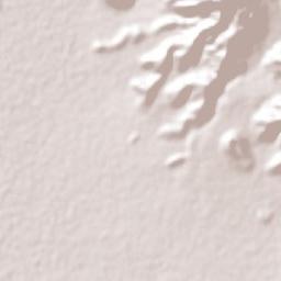 Venustiano Carranza Terrain Map