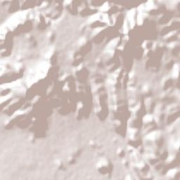 Ricardo Flores Magón Terrain Map