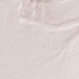 Ignacio Allende Terrain Map