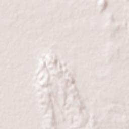 Bari Sadri Terrain Map