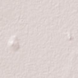 Nicolás Bravo Terrain Map