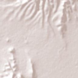 Francisco I. Madero Terrain Map