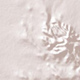 Emiliano Zapata Terrain Map