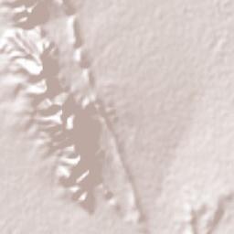 Jesús María Aguirre Galeana Terrain Map