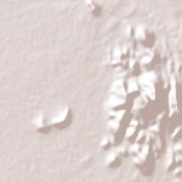 San Francisco de Tacuichamona Terrain Map