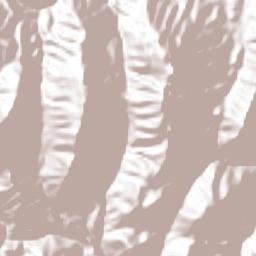 Cañón de Vacas Terrain Map