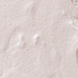 La Laguna Terrain Map