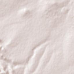 Ramón Corona Terrain Map