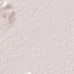 Cinco de Febrero Terrain Map