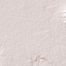Abasolo Terrain Map