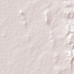 Guadalupe Victoria Terrain Map