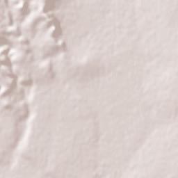 Hidalgo Terrain Map