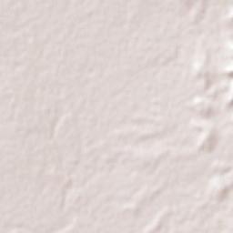 Nicolás Bravo Terrain Map