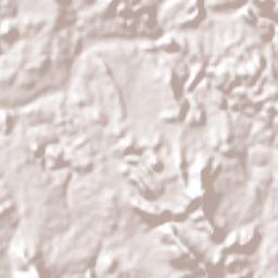 San Ignacio Terrain Map